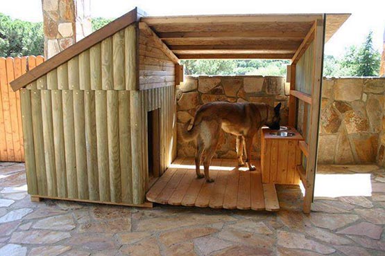 2 dog house